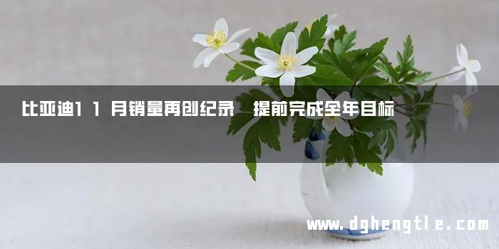 比亚迪11月销量再创纪录 提前完成全年目标